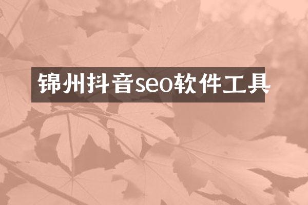 锦州抖音seo软件工具