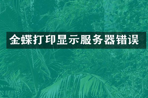 金蝶打印显示服务器错误