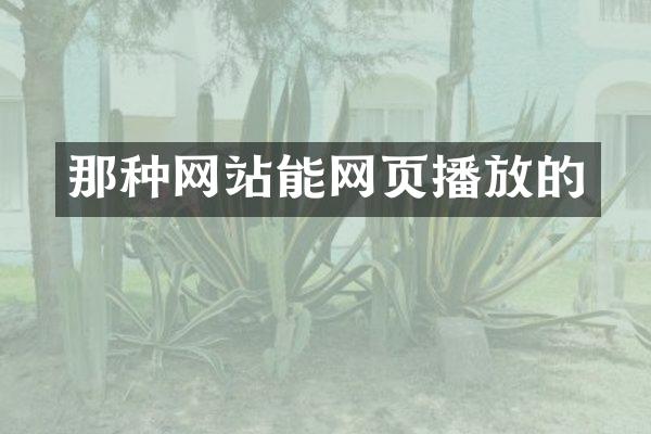 那种网站能网页播放的