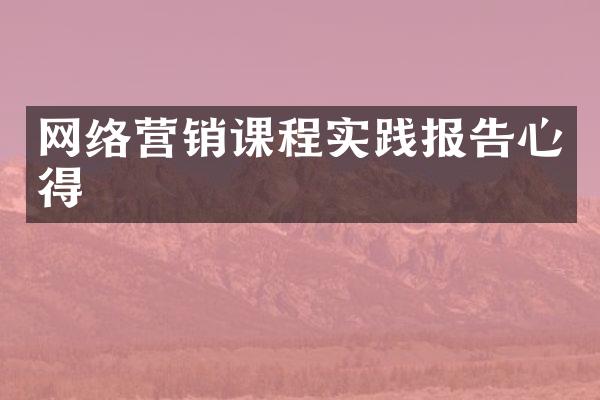 网络营销课程实践报告心得