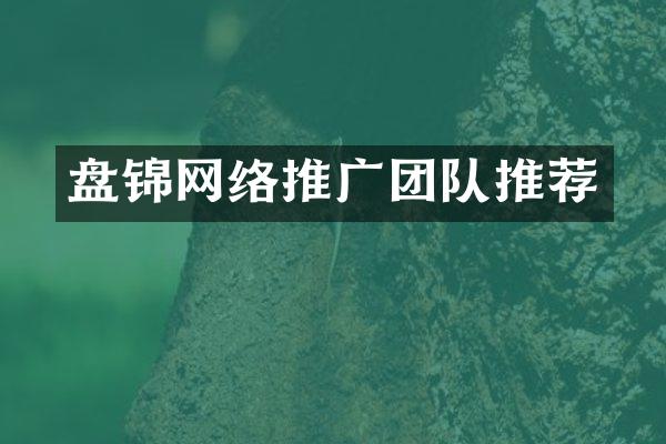 盘锦网络推广团队推荐