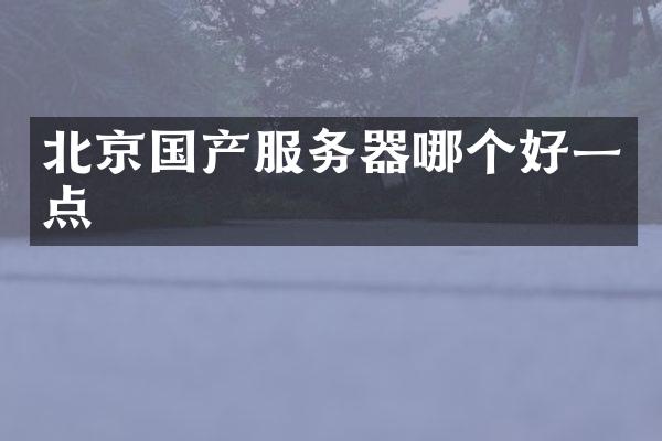 北京国产服务器哪个好一点