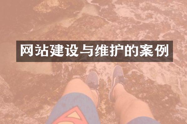 网站建设与维护的案例