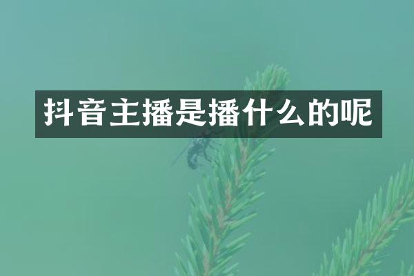 抖音主播是播什么的呢