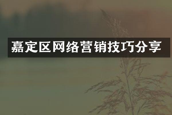 嘉定区网络营销技巧分享