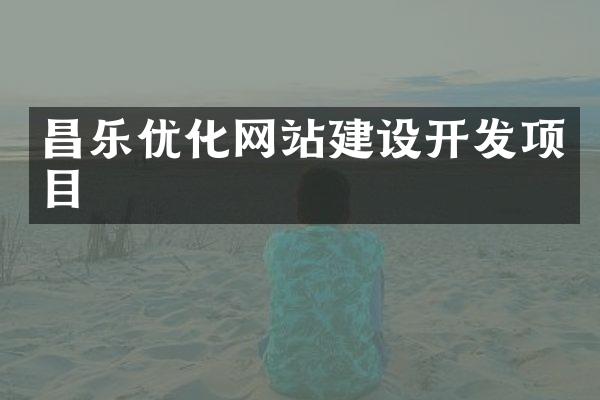 昌乐优化网站建设开发项目