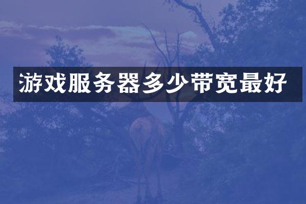 游戏服务器多少带宽最好