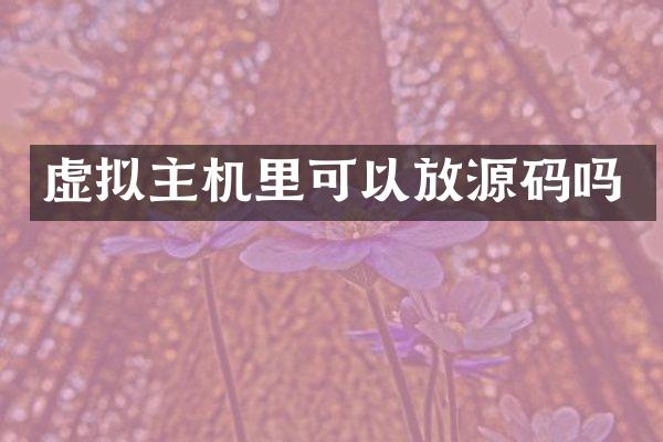 虚拟主机里可以放源码吗