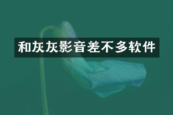 和灰灰影音差不多软件