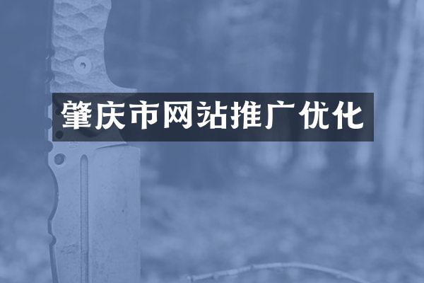 肇庆市网站推广优化