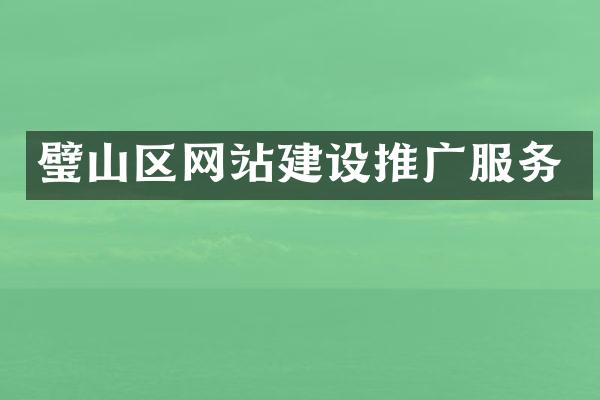 璧山区网站建设推广服务