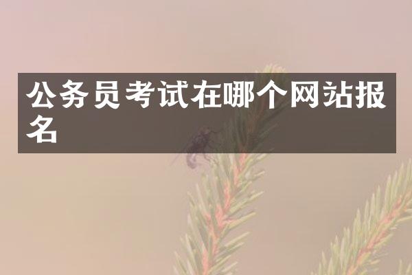 公务员考试在哪个网站报名