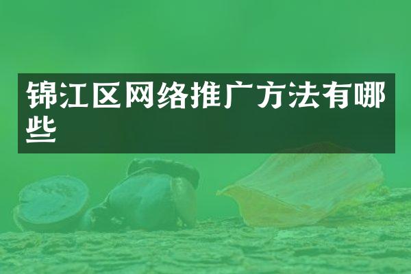 锦江区网络推广方法有哪些