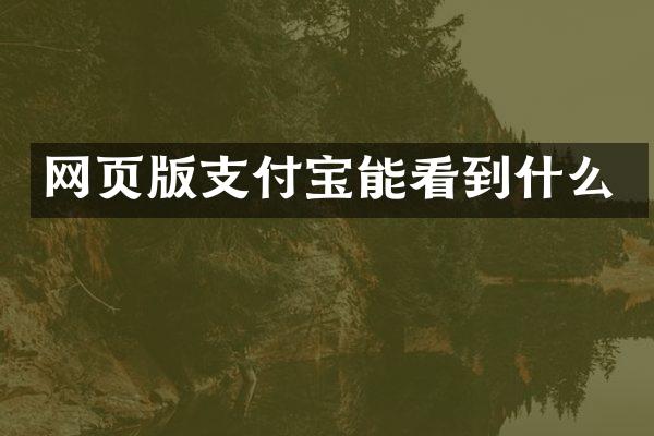 网页版支付宝能看到什么