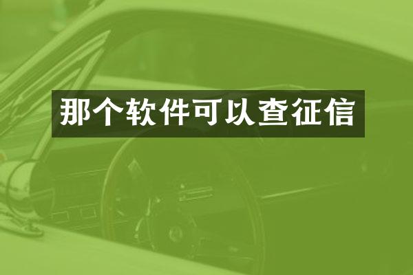 那个软件可以查征信