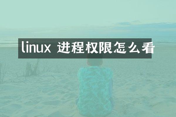 linux 进程权限怎么看