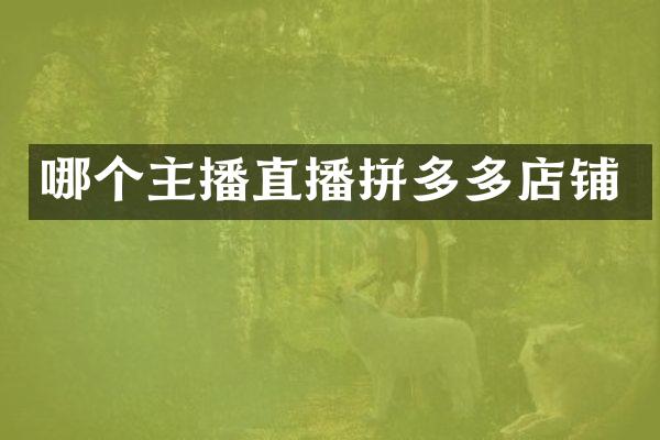 哪个主播直播拼多多店铺