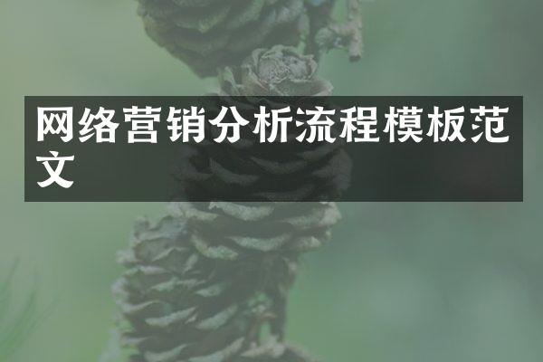 网络营销分析流程模板范文
