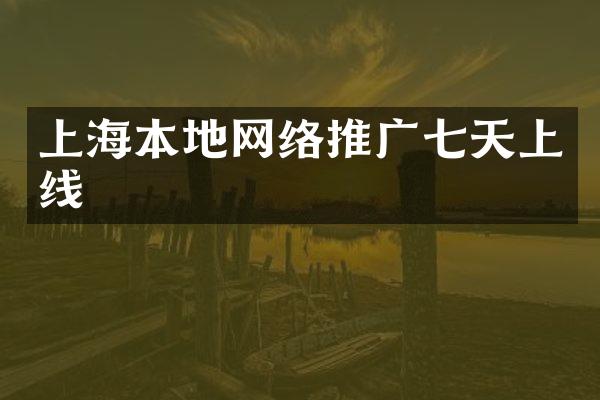 上海本地网络推广七天上线