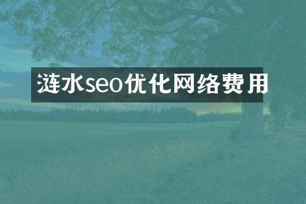 涟水seo优化网络费用