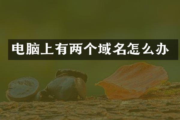 电脑上有两个域名怎么办