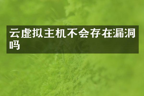 云虚拟主机不会存在漏洞吗