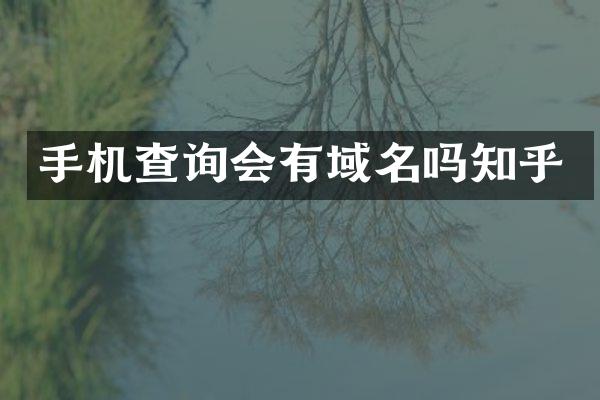 手机查询会有域名吗知乎