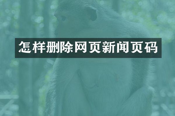 怎样删除网页新闻页码