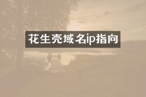 花生壳域名ip指向