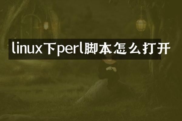 linux下perl脚本怎么打开