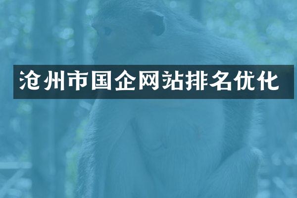 沧州市国企网站排名优化