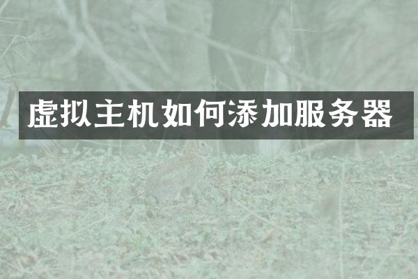 虚拟主机如何添加服务器
