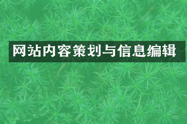 网站内容策划与信息编辑