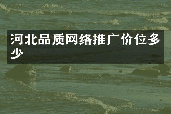 河北品质网络推广价位多少