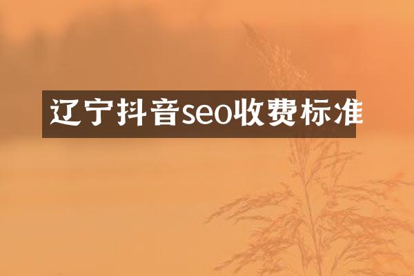 辽宁抖音seo收费标准