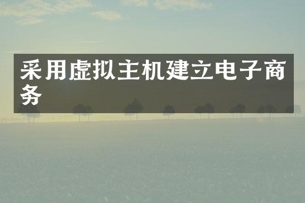 采用虚拟主机建立电子商务
