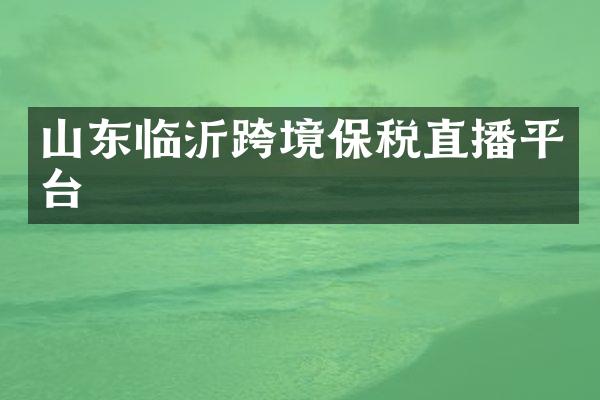 山东临沂跨境保税直播平台