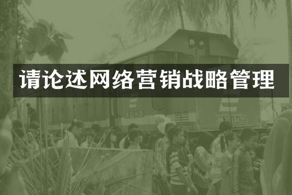 请论述网络营销战略管理
