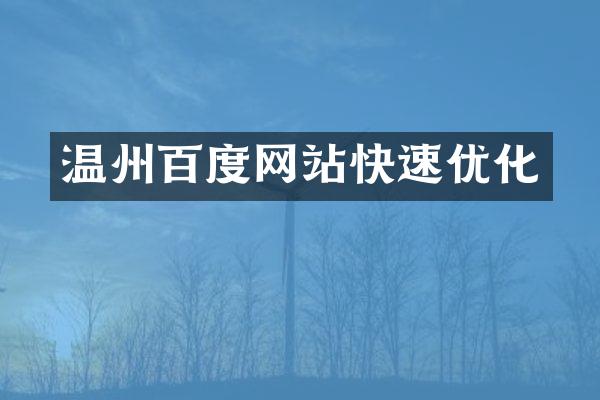 温州百度网站快速优化