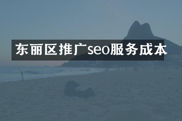 东丽区推广seo服务成本