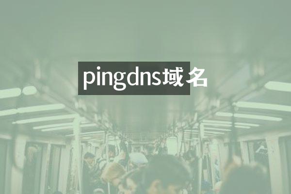 pingdns域名