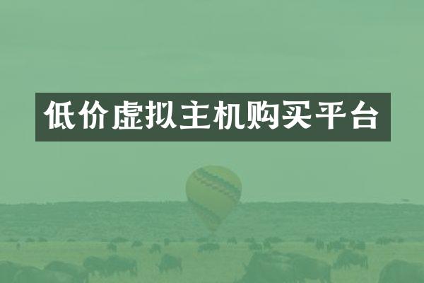 低价虚拟主机购买平台
