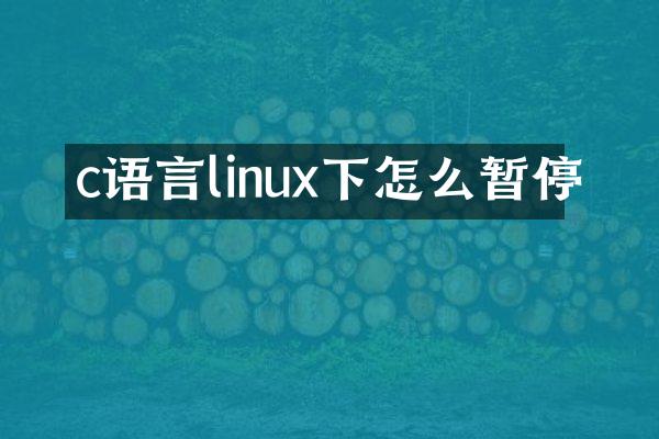 c语言linux下怎么暂停
