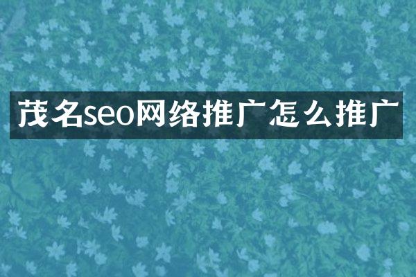 茂名seo网络推广怎么推广
