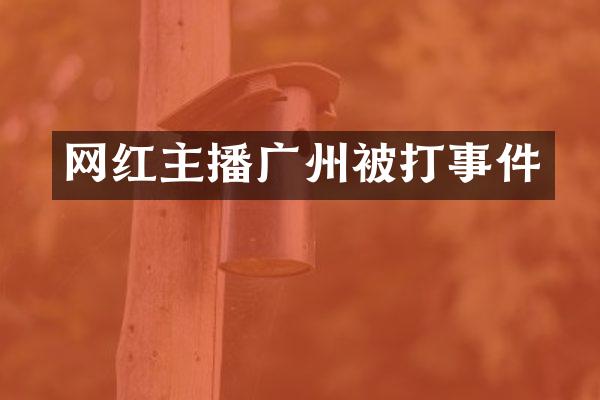 网红主播广州被打事件