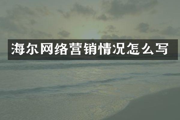 海尔网络营销情况怎么写