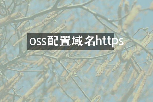oss配置域名https
