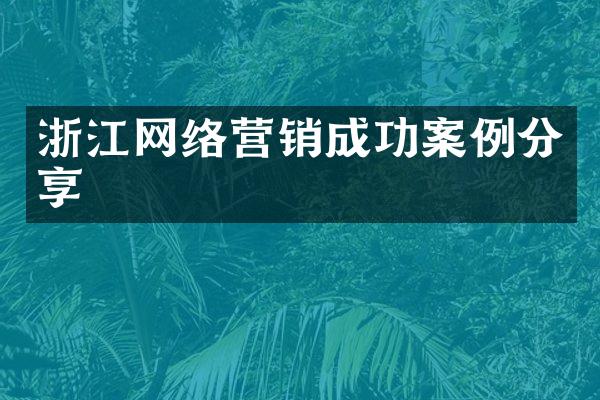 浙江网络营销成功案例分享