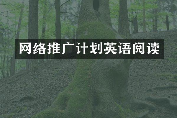 网络推广计划英语阅读