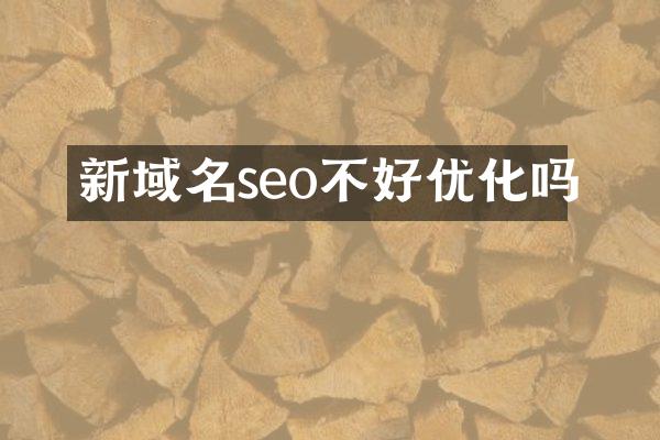 新域名seo不好优化吗